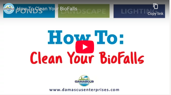 Clean Pond BioFalls